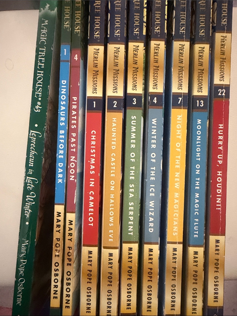 Magic Tree House Book Set - Green & Multicolor Spines